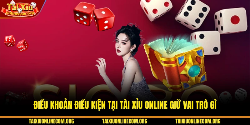 Điều khoản điều kiện tại Tài Xỉu Online giữ vai trò gì